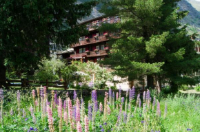 Отель Hotel Alpina, Церматт
